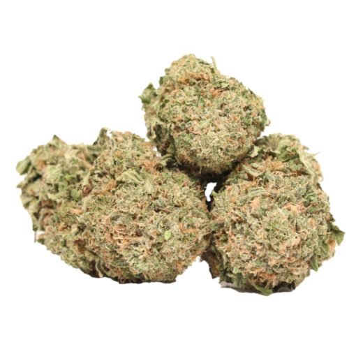 Afghanischer Todes-Bubba