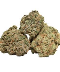 Casey Jones