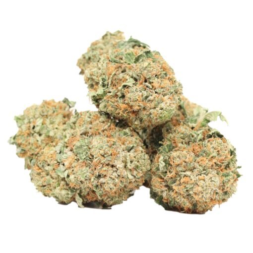 Dior Death Bubba