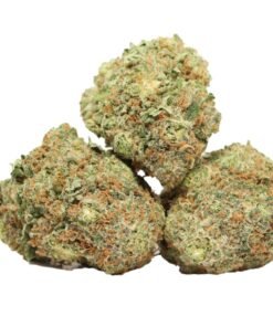 Guava Kush