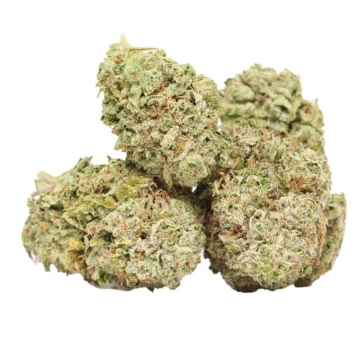 King Louis XIII