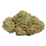 Mimosa