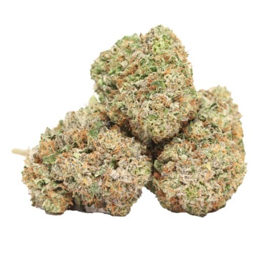 Rosa Chemo