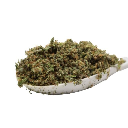 Schütteln/Trimmen (Pink Kush)