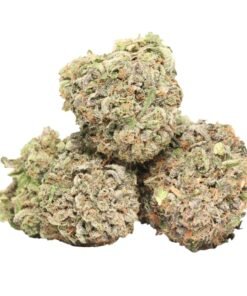 Pink Kush
