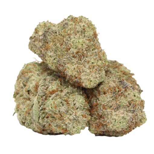 dank-sinatra