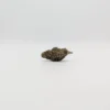 Cali CBD - GMO Cookies(20% CBD)